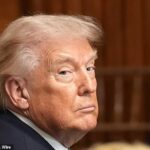 Donald Trump atacou os seus aliados da OTAN “não responsivos” ao afirmar que eles “engrenariam rapidamente” se “acabassem com o Irão”