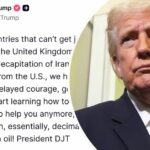 Trump critica aliados por não ajudarem em seu esforço de guerra