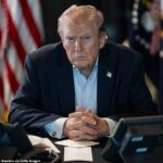 De acordo com fontes de alto nível, os altos escalões também devem, diariamente, alimentar o presidente dos EUA, Donald Trump, viciado em telas, com um fluxo satisfatório de