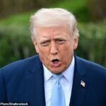 Donald Trump poderá ter permissão negada para usar bases britânicas se seguir em frente com a ameaça de “destruir” usinas iranianas