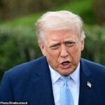 Donald Trump alertou Teerã no sábado que tinha 48 horas para permitir que a carga passasse pela vital rota marítima global “sem ameaça” ou ele “destruiria” suas usinas de energia.