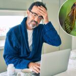 Tudo o que você precisa saber sobre a nova variante Covid ‘Cicada’ altamente mutada