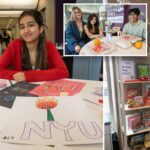 US$ 91 mil por ano NYU adiciona creche para estudantes adultos com artesanato, jogos de tabuleiro e bichos de pelúcia