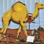 Uma visão sobre o modo de vida que desaparece rapidamente na região do outback do Centro-Oeste de WA