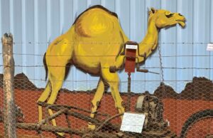 Uma visão sobre o modo de vida que desaparece rapidamente na região do outback do Centro-Oeste de WA Uma visão sobre o modo de vida que desaparece rapidamente na região do outback do Centro-Oeste de WA