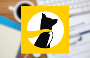 Underdog enfrenta demissões, pressão regulatória e pivô estratégico de negócios Os cortes de empregos menos favorecidos e os desafios regulatórios aumentam em todo o país. Gráfico quadrado amarelo com o logotipo do Underdog – uma silhueta de cachorro preto com um formato de raio atravessando seu corpo dentro de um círculo branco – contra um fundo desfocado de mesa com uma xícara de café e um teclado.