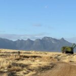 Valores fortes indicam um apetite insaciável do comprador por propriedades de qualidade