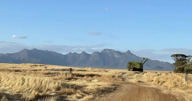 Valores fortes indicam um apetite insaciável do comprador por propriedades de qualidade
