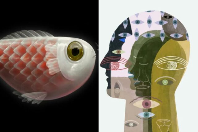 Veja como se desintoxicar emocionalmente durante Mercúrio retrógrado em Peixes 2026
