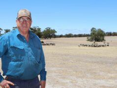 Vice-presidente da NFF se recusa a renunciar por postagem ‘inadequada’ nas redes sociais Vice-presidente da NFF se recusa a renunciar por postagem ‘inadequada’ nas redes sociais