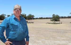 Vice-presidente da NFF se recusa a renunciar por postagem ‘inadequada’ nas redes sociais Vice-presidente da NFF se recusa a renunciar por postagem ‘inadequada’ nas redes sociais