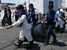 Vida selvagem morta, recifes danificados em derramamento de óleo “ativo” no Golfo do México Derramamento de óleo no México