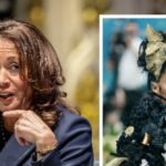 Vídeo: Kamala Harris sugere que Nicki Minaj apoia Trump devido à 'desinformação', não sabe '2 + 2 = 4'