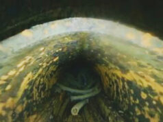 Vídeo de drone de dentro de um reator de Fukushima mostra um buraco no vaso de pressão, provavelmente restos de combustível Yahoo news home