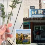 Duas pontas de borracha laranja, um cachimbo de vidro e uma almofada de brillo, com um