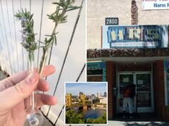 Vídeo de homem conseguindo cachimbos de crack grátis perto da capital do estado da Califórnia provoca indignação Duas pontas de borracha laranja, um cachimbo de vidro e uma almofada de brillo, com um