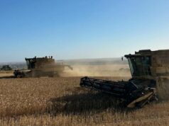 ‘Este ano será um problema’, diz agricultor após uma dobradinha ‘Este ano será um problema’, diz agricultor após uma dobradinha