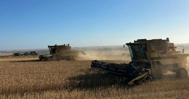 ‘Este ano será um problema’, diz agricultor após uma dobradinha
