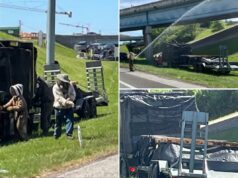 1 milhão de abelhas enxameiam rodovia após acidente fechar rampa interestadual por horas 1 milhão de abelhas enxameiam rodovia após acidente fechar rampa interestadual por horas