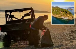 20 ‘caninos’ mortos encontrados na ilha do estado de Washington: ‘Uma pessoa diabólica lá fora’ 20 'caninos' mortos encontrados na ilha do estado de Washington: 'Uma pessoa diabólica lá fora'