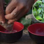 As mãos de uma pessoa espremendo suco de kava em copos pretos e vermelhos.