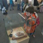 3º Dia Anual dos Fósseis ensina as crianças do PEI como encontrar tesouros pré-históricos