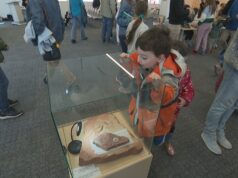 3º Dia Anual dos Fósseis ensina as crianças do PEI como encontrar tesouros pré-históricos 3º Dia Anual dos Fósseis ensina as crianças do PEI como encontrar tesouros pré-históricos