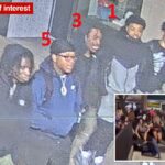 Cinco homens identificados como pessoas de interesse em um incidente de tiroteio.