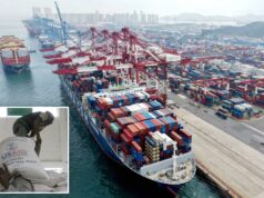 A administração Trump apela a outras nações para que assinem uma declaração de “comércio em vez de ajuda” para “promover os valores da América Primeiro”: relatório Navios de carga atracaram em um porto em Qingdao, na China, com guindastes suspensos e contêineres cobrindo o cais.