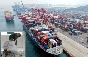 A administração Trump apela a outras nações para que assinem uma declaração de “comércio em vez de ajuda” para “promover os valores da América Primeiro”: relatório Navios de carga atracaram em um porto em Qingdao, na China, com guindastes suspensos e contêineres cobrindo o cais.