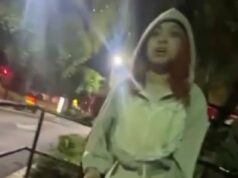 A amiga de Taylor Swift, Ice Spice, briga no McDonald’s com um fã que lhe dá um tapa e a derruba no chão Ice Spice brigou em um McDonald's em Hollywood na quarta-feira, e a confusão acabou se espalhando para fora do restaurante (foto)