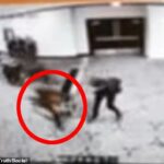 Imagens de vigilância angustiantes capturaram o momento em que Allen passou pela segurança no jantar dos correspondentes da Casa Branca