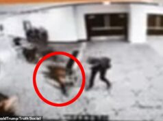 A bala que atingiu o agente do Serviço Secreto no Jantar dos Correspondentes da Casa Branca ‘foi desviada pelo seu TELEFONE’ Imagens de vigilância angustiantes capturaram o momento em que Allen passou pela segurança no jantar dos correspondentes da Casa Branca