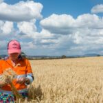 A complexa rede de energia, clima e conflitos que impulsiona os preços globais dos cereais