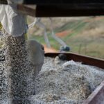 A crise no fornecimento de fertilizantes provoca mudanças de biossegurança para importações arriscadas