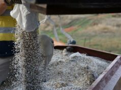 A crise no fornecimento de fertilizantes provoca mudanças de biossegurança para importações arriscadas A crise no fornecimento de fertilizantes provoca mudanças de biossegurança para importações arriscadas