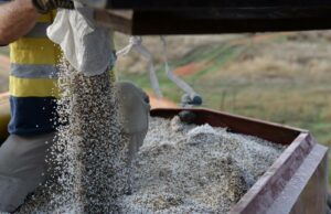 A crise no fornecimento de fertilizantes provoca mudanças de biossegurança para importações arriscadas A crise no fornecimento de fertilizantes provoca mudanças de biossegurança para importações arriscadas