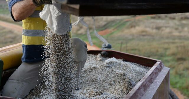 A crise no fornecimento de fertilizantes provoca mudanças de biossegurança para importações arriscadas
