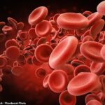 Sem ferro, o corpo não consegue produzir hemoglobina suficiente, a proteína do sangue responsável pelo transporte de oxigênio pelo corpo. O ferro também é necessário para manter um sistema imunológico saudável