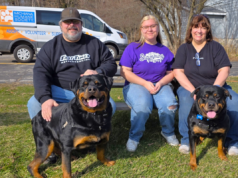 A dupla pai-filho de 250 libras do Shelter finalmente encontra um lar – juntos A dupla pai-filho de 250 libras do Shelter finalmente encontra um lar - juntos