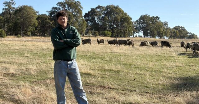 A escassez de mão de obra agrícola pressiona o setor agrícola à medida que os custos continuam a aumentar
