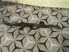 A espingarda de Cole Allen vista pela primeira vez como novos detalhes arrepiantes de como ele foi capaz de contornar a segurança e atacar o salão de baile revelados A espingarda que o suspeito Cole Allen trouxe para o jantar dos correspondentes na Casa Branca foi retratada pela primeira vez