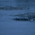 A fábula de fantasia feminista 'Sereias' de Alexandra Latishev encanta a Vitrine Filmes España (EXCLUSIVO)