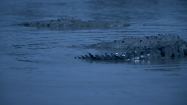 A fábula de fantasia feminista 'Sereias' de Alexandra Latishev encanta A fábula de fantasia feminista 'Sereias' de Alexandra Latishev encanta a Vitrine Filmes España (EXCLUSIVO)
