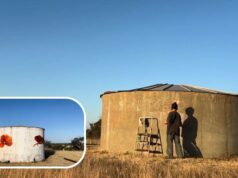 A história que ficou com ela: o tributo da artista Wheatbelt aos escavadores caídos A história que ficou com ela: o tributo da artista Wheatbelt aos escavadores caídos