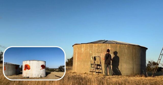 A história que ficou com ela: o tributo da artista Wheatbelt aos escavadores caídos
