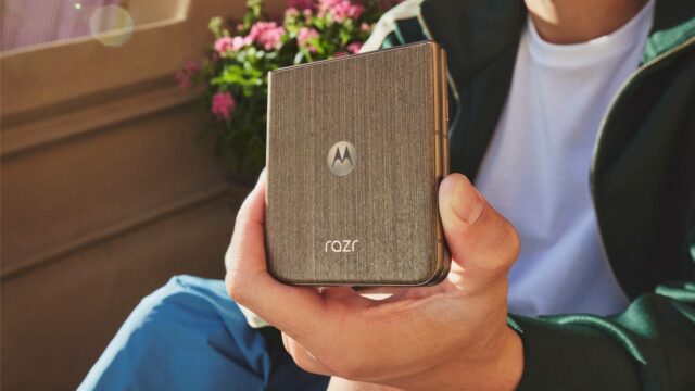 Motorola Razr Ultra encostado em uma árvore perene