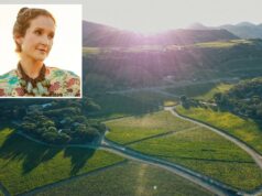 A poderosa dinastia do vinho Napa morre quando um extenso vinhedo é adquirido pela varejista de luxo Chanel A poderosa dinastia do vinho Napa morre quando um extenso vinhedo é adquirido pela varejista de luxo Chanel