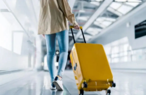 A procura interna impulsiona os sectores do turismo e hotelaria da Índia no meio de choques globais A procura interna impulsiona os sectores do turismo e hotelaria da Índia no meio de choques globais