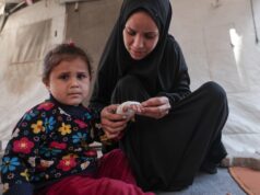 A segunda frente de Gaza: a batalha contra os ratos transmissores de doenças Família em Gaza sob um dossel